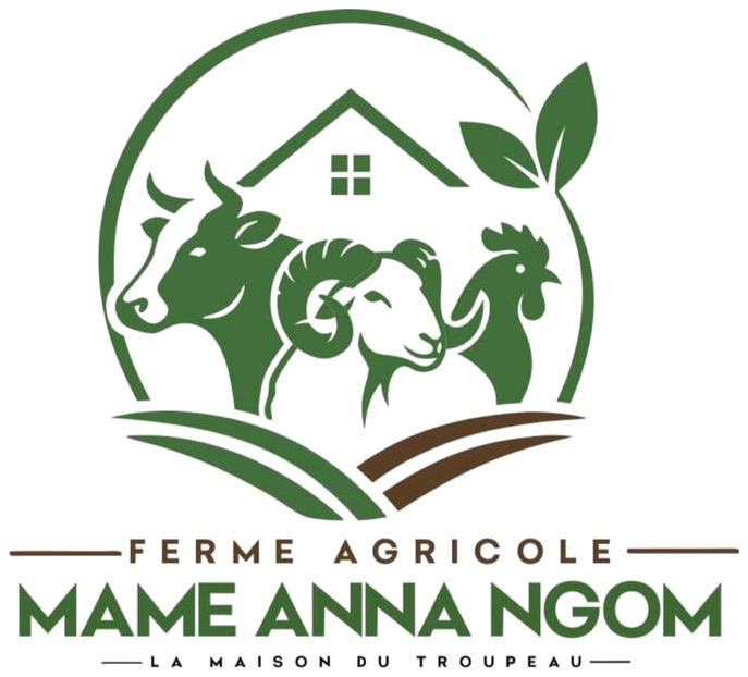 Logo Ferme Agricole Mame Anna Ngom — La Maison du Troupeau